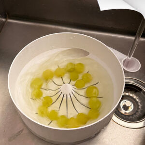 Lava Frutta Rotante ideale per Uva e Piccoli Frutti